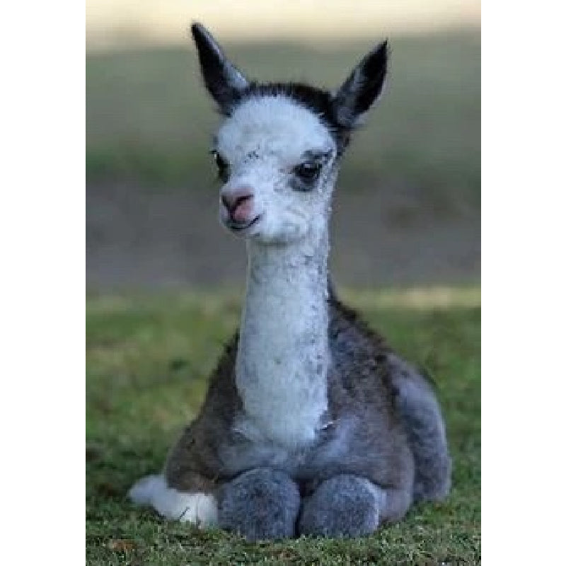 My Early Morning Surprise!