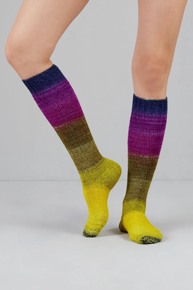 Echoes Fingering Yarn, Great Sock Yarn, Echoes1518 Main Image