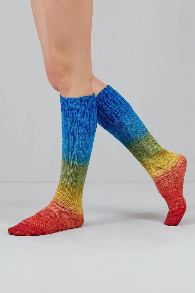 Echoes Fingering Yarn, Colorful Sock Yarn, Echoes1505 Main Image