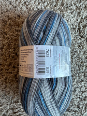 Aktiv Cotton/Wool Sock Yarn, 1 Skein