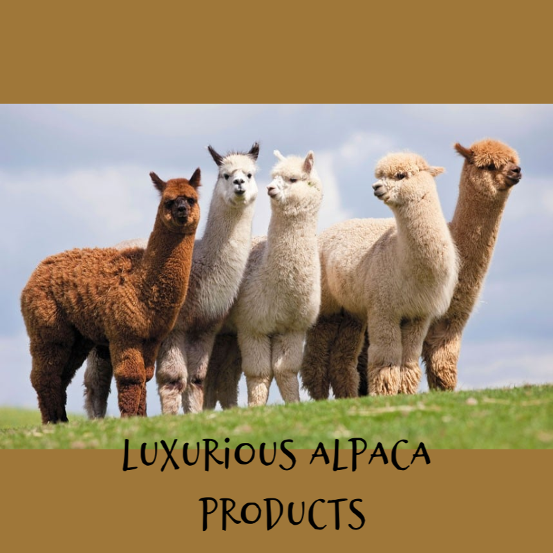 Handmade Merino & Alpaca Slipper Socks – Plush, Warm Comfort for Home & Gift Ideas, Size Medium